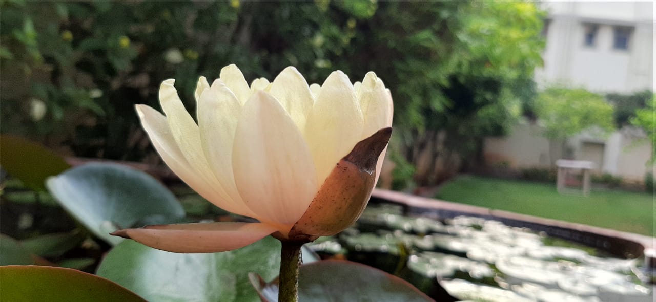 德州冠魯深孔鉆床，高品質(zhì)深孔機(jī)床，獲客戶認(rèn)可